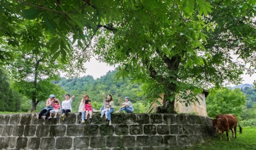 隐居乡里稻田理想民宿开业仪式暨“呆村里”计划发布会圆满举办 隐居乡里稻田理想民宿开业仪式暨“呆村里”计划发布会圆满举办