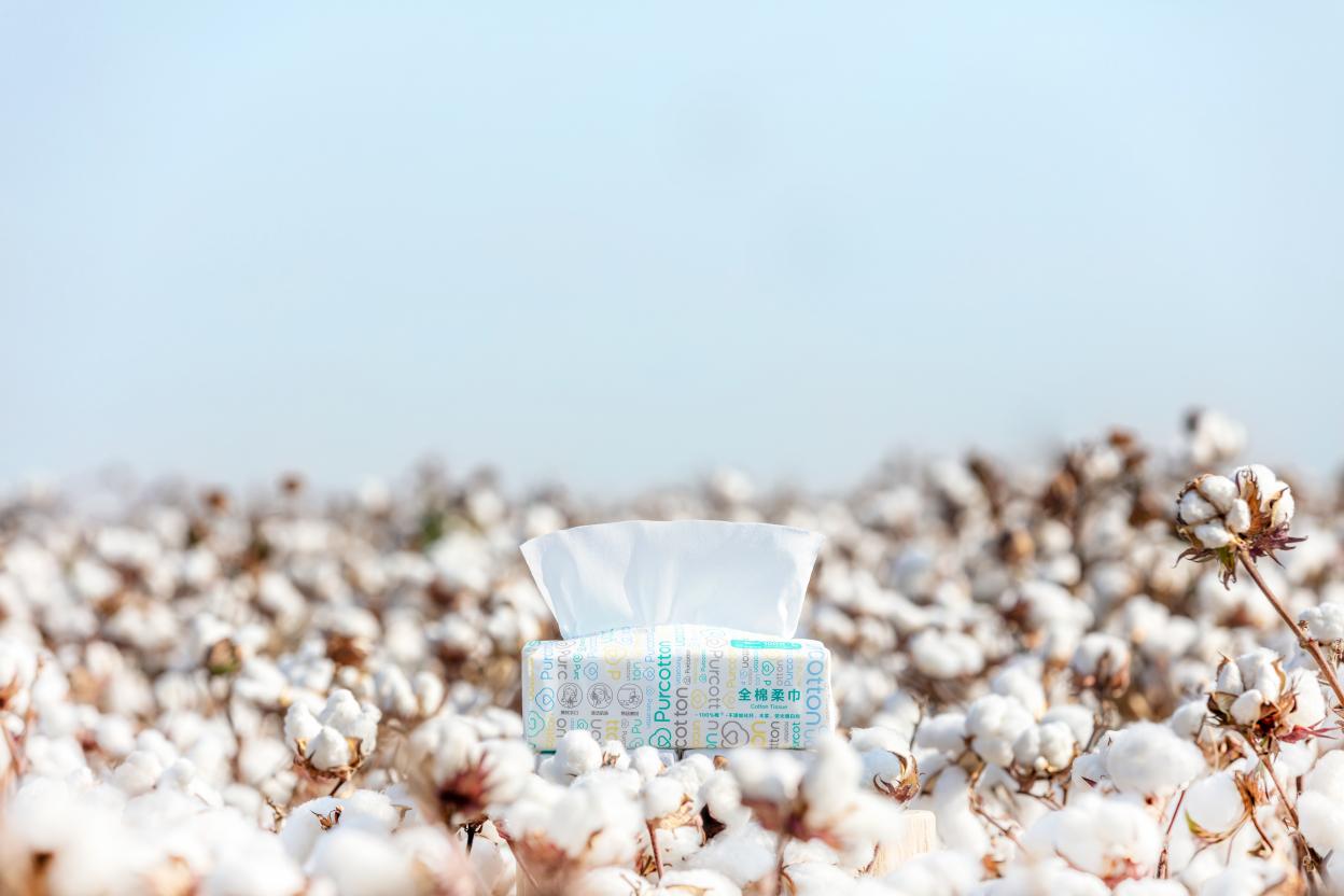 13年定义4大标准，全棉时代将一朵棉花做到极致