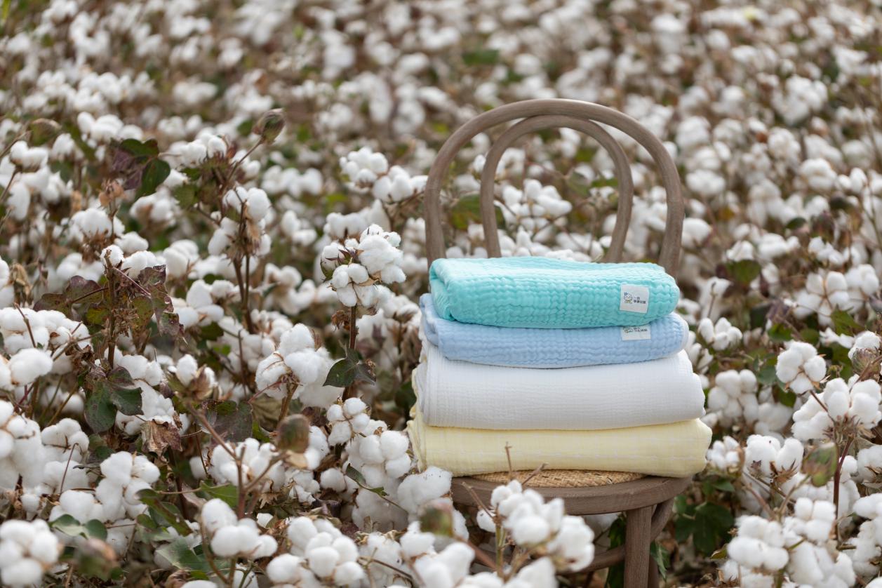 13年定义4大标准，全棉时代将一朵棉花做到极致