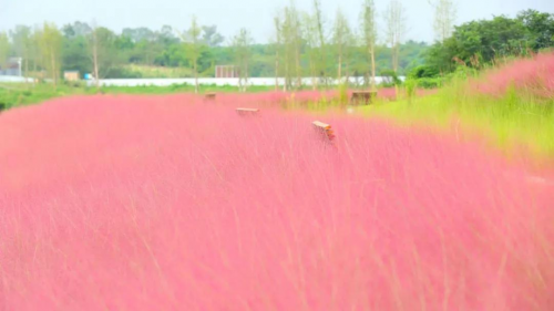 国庆赶紧去！公园又添新耍法，不出市区耍安逸~