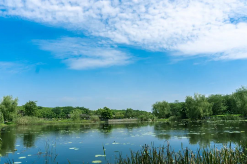 国庆赶紧去！公园又添新耍法，不出市区耍安逸~