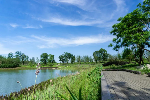 国庆赶紧去！公园又添新耍法，不出市区耍安逸~