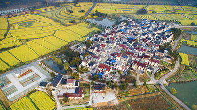 <a href=http://www.xwkx.net/Biz/1/ target=_blank class=infotextkey>企业</a>勇担脱贫攻坚重任 携优势产业振兴乡村发展 企业勇担脱贫攻坚重任 携优势产业振兴乡村发展