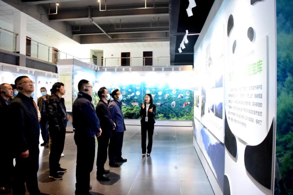 卧龙自然保护区大熊猫与自然生态展开展啦