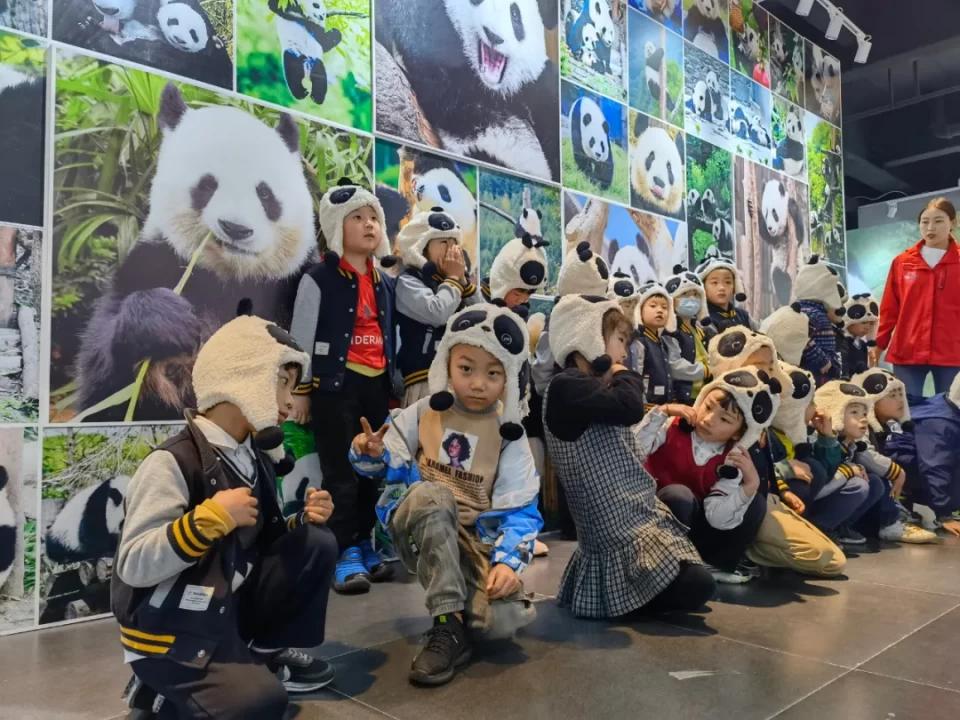 卧龙自然保护区大熊猫与自然生态展开展啦