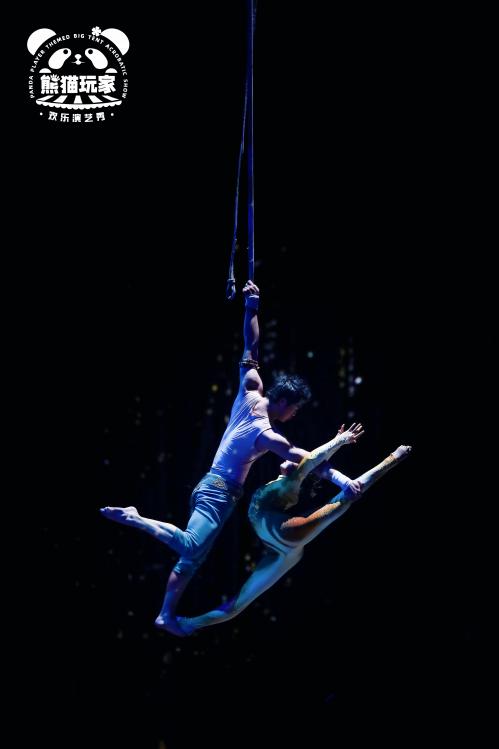 杂技剧《熊猫玩家》：细节之处的力量与智慧