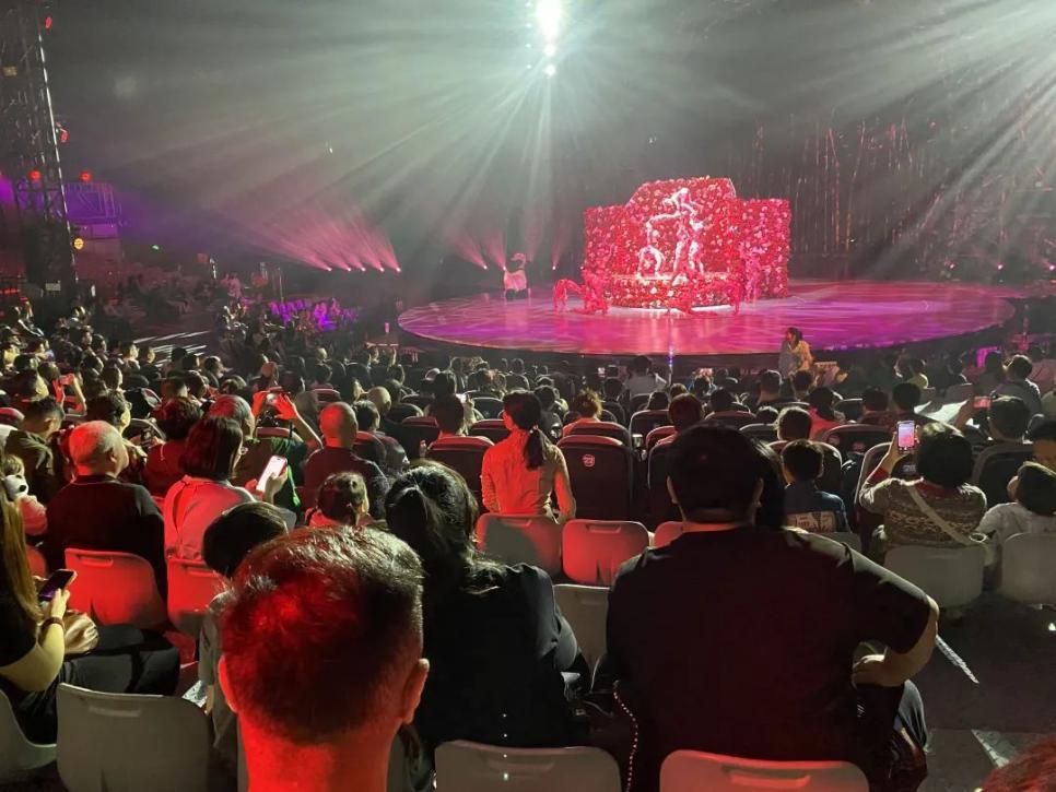 杂技剧《熊猫玩家》：细节之处的力量与智慧