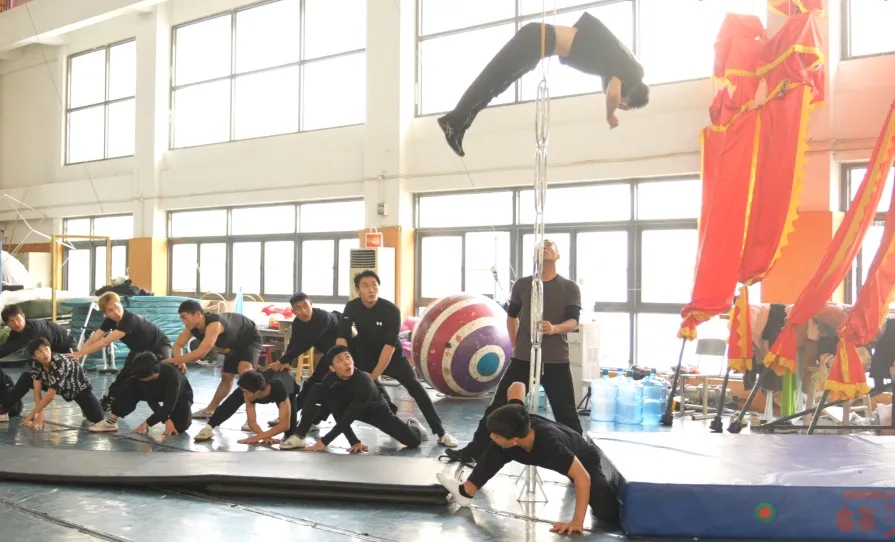 杂技剧《熊猫玩家》：细节之处的力量与智慧