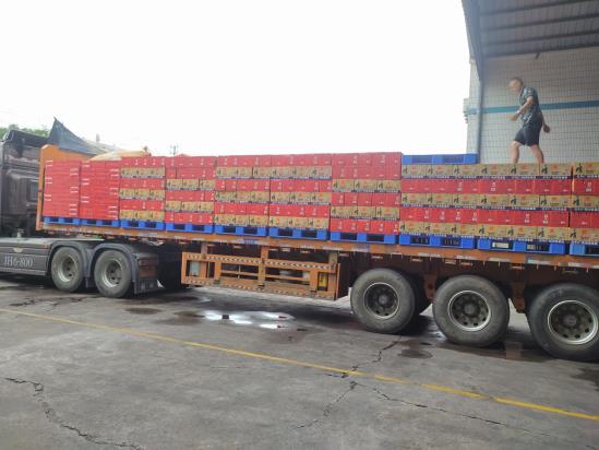 2022掘金爆品,提神宝能量饮料凭啥决胜终端! 11abb599b186f8781732c7d62227bfa