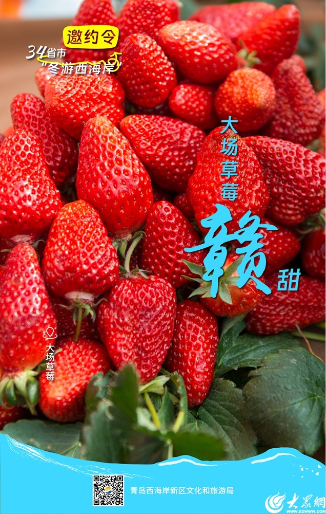 @全国的家人们,一起在青岛西海岸新区冬游吧! @全国的家人们,一起在青岛西海岸新区冬游吧!