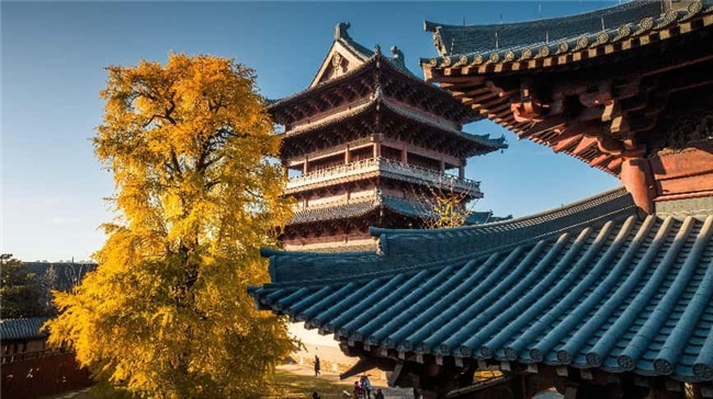 濮院时尚古镇推出“织秋”疗愈之旅，桐乡市民免票政策延至2025年底