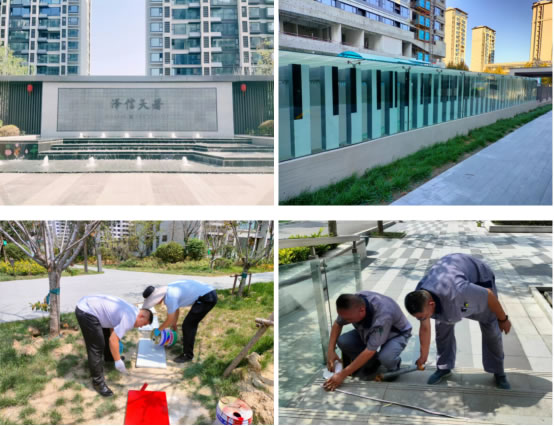 交付一年 心动如初 | 泽信物业伴您遇见社区里的更多美好