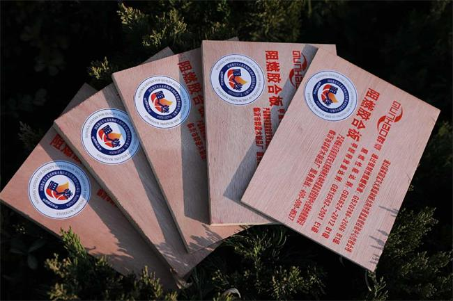 荣耀延续 匠筑安全|群豪板材荣膺2026中品榜阻燃板十大品牌 荣耀延续 匠筑安全|群豪板材荣膺2026中品榜阻燃板十大品牌