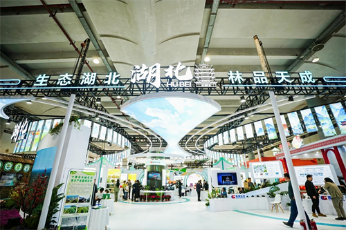 2025年世界林木业大会暨2025年广西国际林产品及木制品展盛大举办