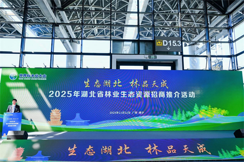 2025年世界林木业大会暨2025年广西国际林产品及木制品展盛大举办