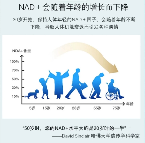 DNG德安健NMN,助您焕发青春活力 DNG德安健NMN,助您焕发青春活力