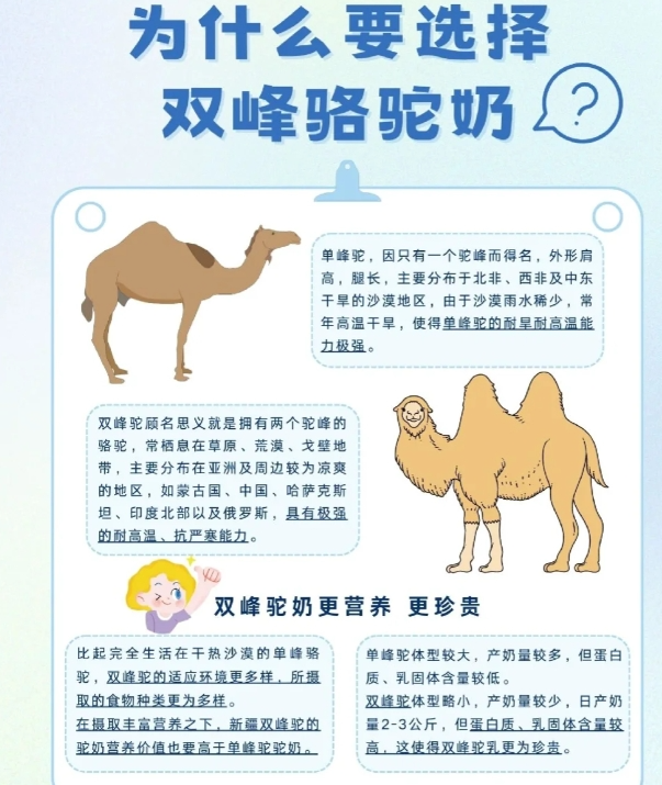 驼宝驼奶：您的血糖守护者