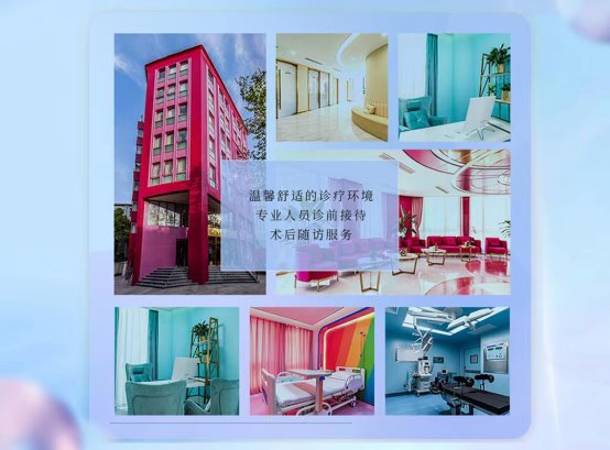 上海联合丽格范荣杰院长 受邀赴美出席美国达拉斯加鼻整形会议