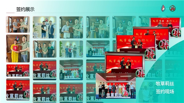 牧草莉丝丹洗~洗头吧连锁举办品牌盛会 