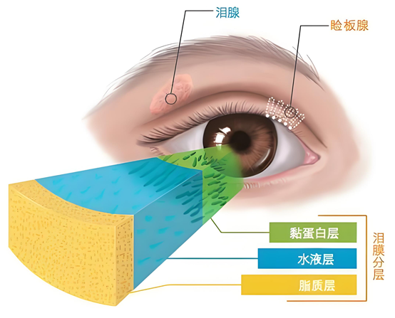 547c1b4063ccd3c21f31822f0014e7f21737005378337412.png 22.png