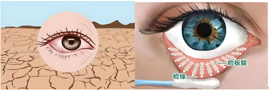 622612cb2ca52060a23dd12d9331e4741737005526332076.png 33.png