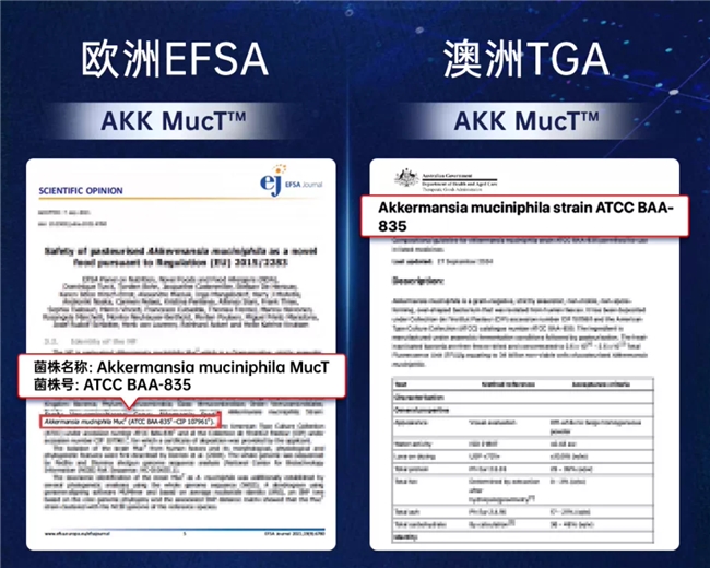 不是所有标着AKK的益生菌都有效,博主踩坑后总结出了这条铁律 不是所有标着AKK的益生菌都有效,博主踩坑后总结出了这条铁律