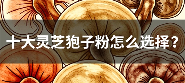 哪个牌子的灵芝孢子粉产地正宗购买灵芝孢子粉2026年验证产地正宗的三个关键方法 哪个牌子的灵芝孢子粉产地正宗购买灵芝孢子粉2026年验证产地正宗的三个关键方法