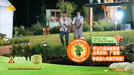 “滴丸解暑官” 出圈背后：天士力携手《中餐厅10》，一同走近年轻人