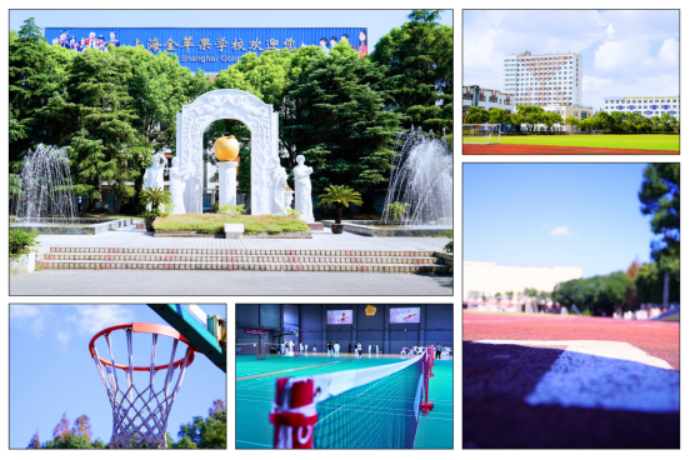 欢迎来到金苹果学校日高/新加坡国际课程中心