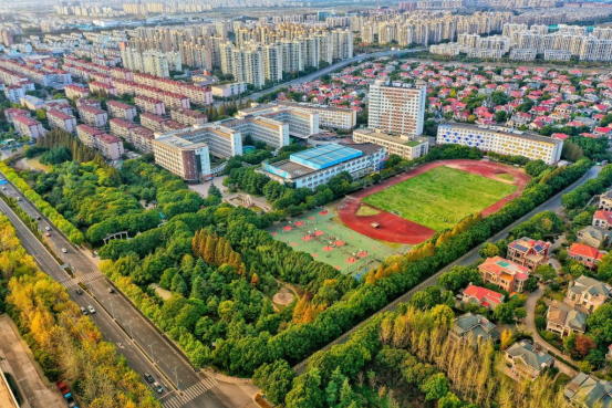 双向突围：中产家庭教育焦虑与“国际中本贯通Plus”的破局之道