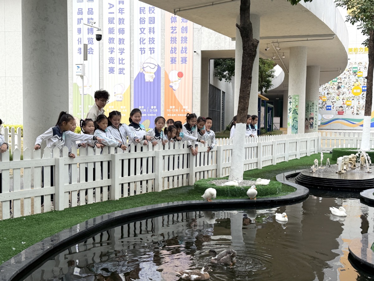 探校|发现教育——解码松山湖第三小学的创新基因 探校|发现教育——解码松山湖第三小学的创新基因
