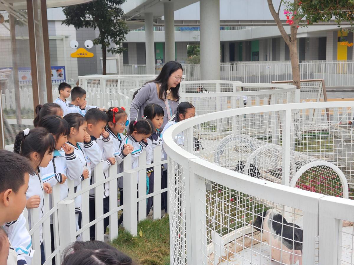 探校|发现教育——解码松山湖第三小学的创新基因 探校|发现教育——解码松山湖第三小学的创新基因