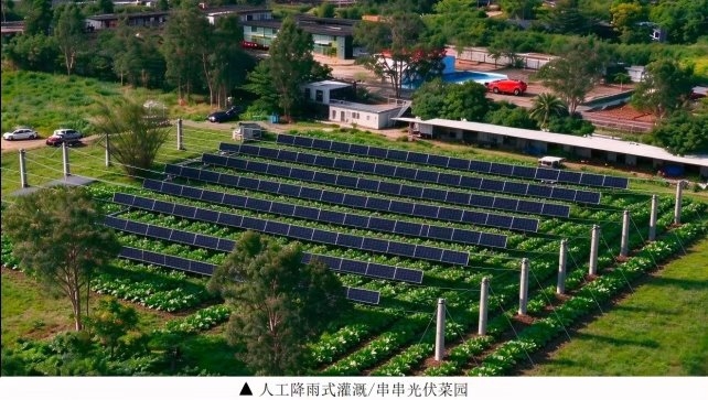 串串光伏不占地 错峰发电效益高 串串光伏不占地 错峰发电效益高