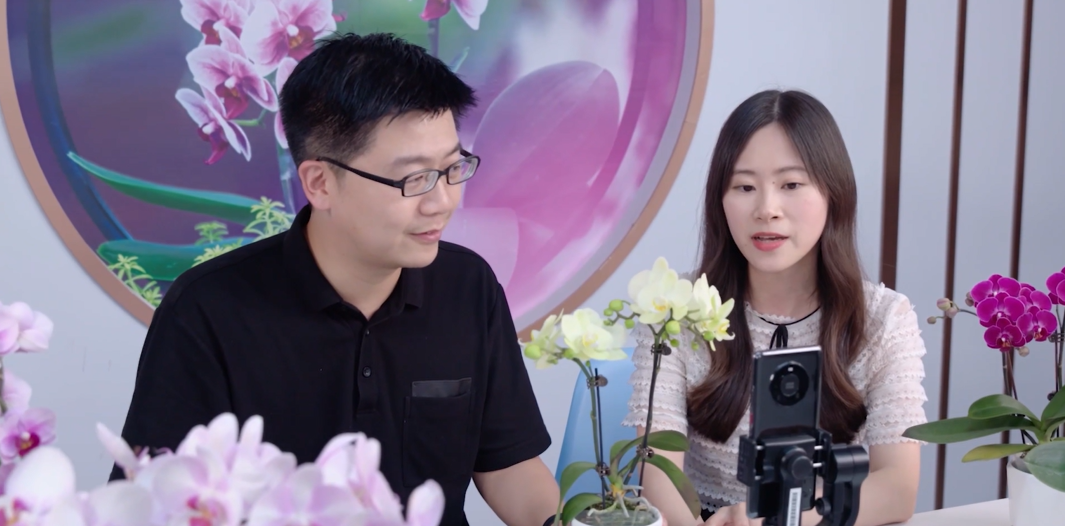 开启农与花的盛宴！2024两岸农博会·花博会将在福建漳州举办