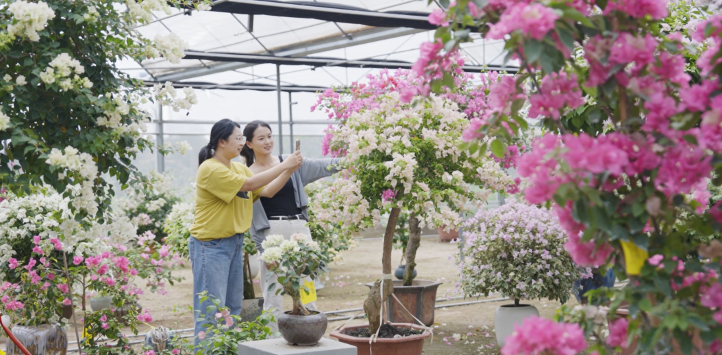 开启农与花的盛宴！2024两岸农博会·花博会将在福建漳州举办