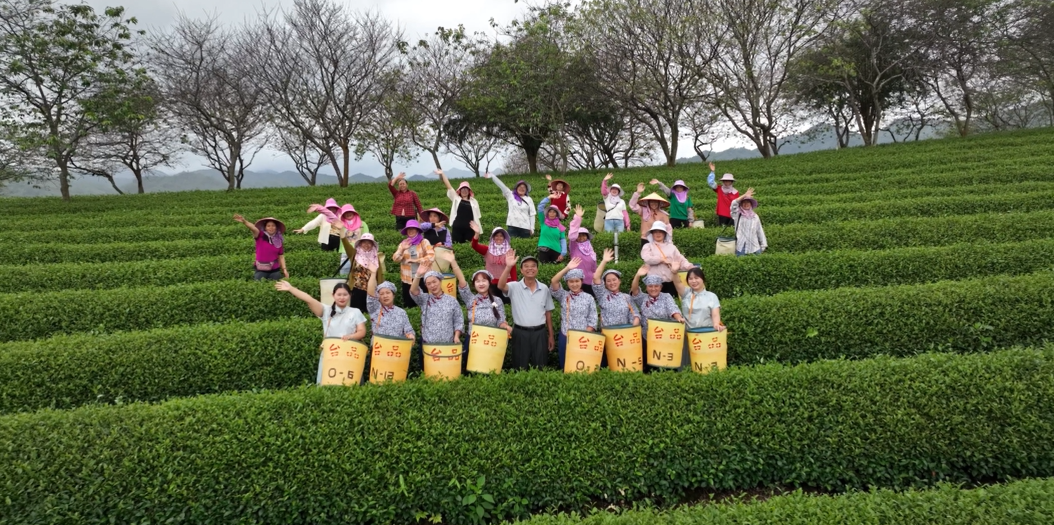 开启农与花的盛宴！2024两岸农博会·花博会将在福建漳州举办