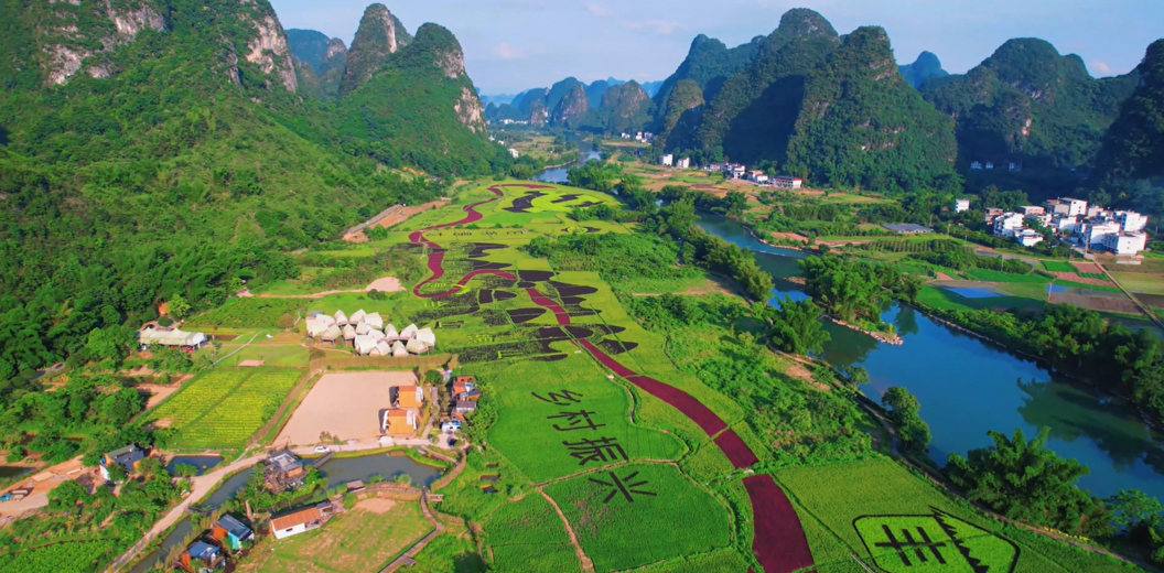 开启农与花的盛宴！2024两岸农博会·花博会将在福建漳州举办