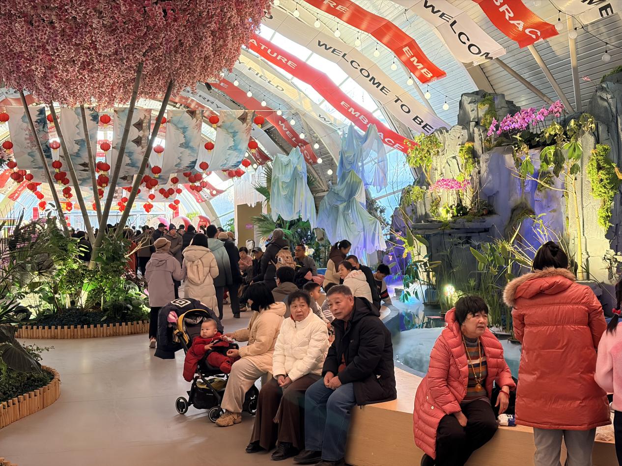 兰香不散，热度不减！北京兰花文化嘉年华元旦后依旧人气爆棚