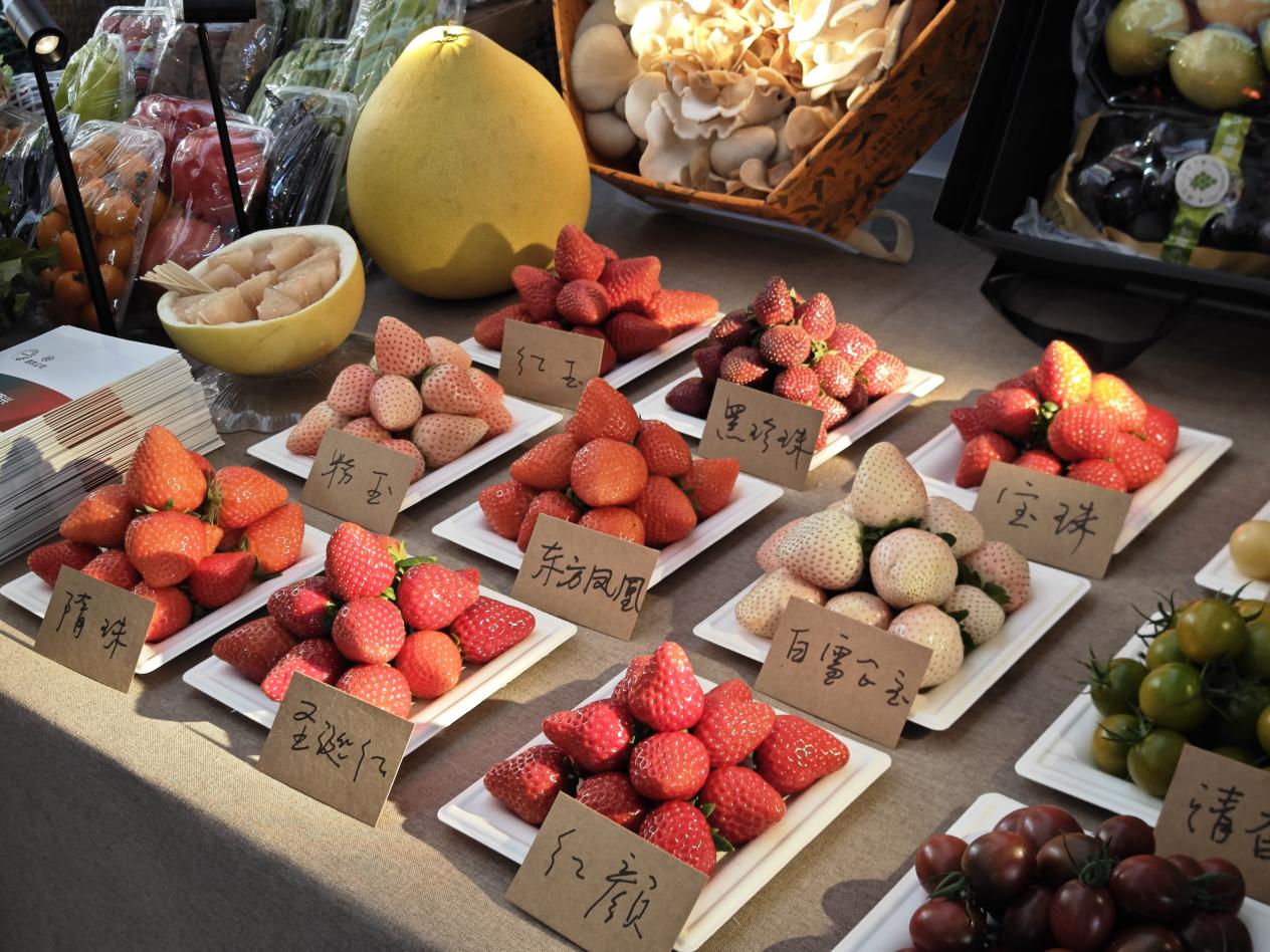 兰香不散，热度不减！北京兰花文化嘉年华元旦后依旧人气爆棚