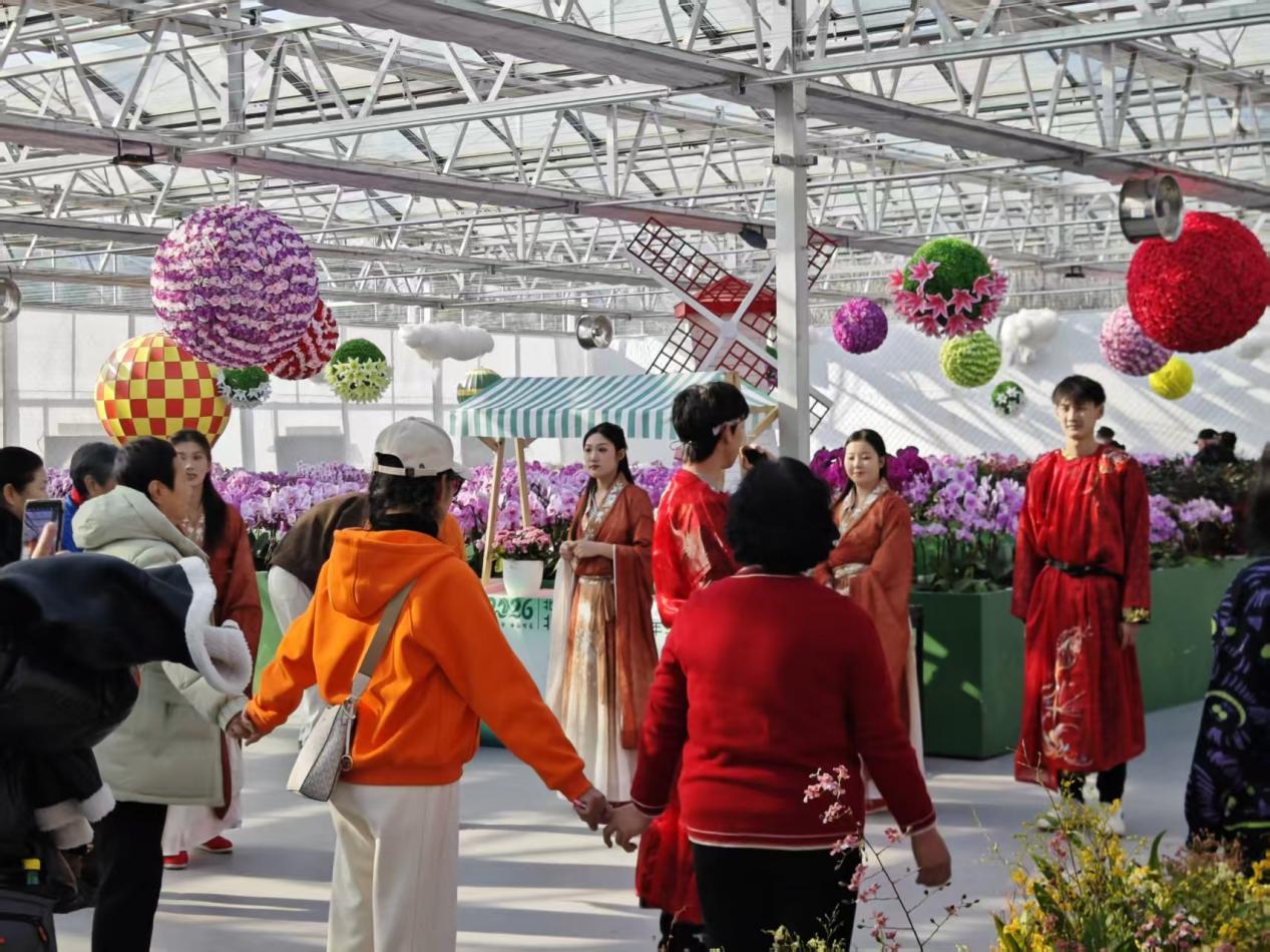 兰香不散，热度不减！北京兰花文化嘉年华元旦后依旧人气爆棚