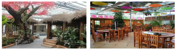 邵东怡卉奇幻世界焕新亮相 打造湖南短途文旅新标杆