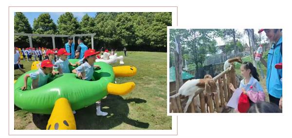 邵东怡卉奇幻世界焕新亮相 打造湖南短途文旅新标杆