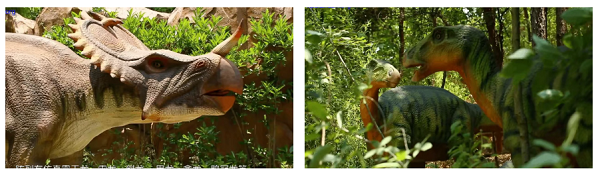 邵东怡卉奇幻世界焕新亮相 打造湖南短途文旅新标杆