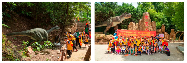 邵东怡卉奇幻世界焕新亮相 打造湖南短途文旅新标杆