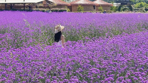 邵东怡卉奇幻世界焕新亮相 打造湖南短途文旅新标杆