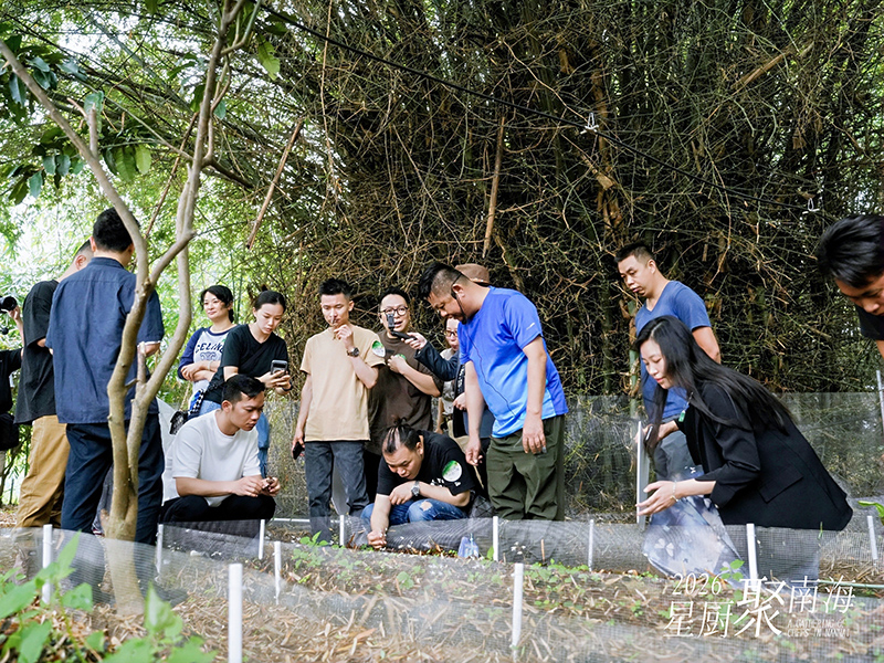 湾区星厨齐聚里水，花鸟鱼虫宴解锁粤味新表达