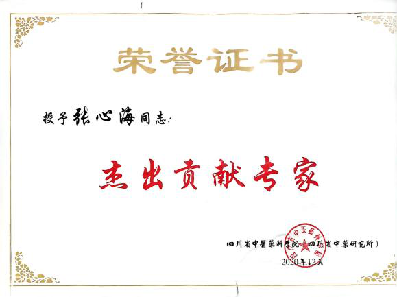 张心海五神安眠汤核心优势:5 分钟辨证,诊断准确率高达 92% 张心海五神安眠汤核心优势:5 分钟辨证,诊断准确率高达 92%