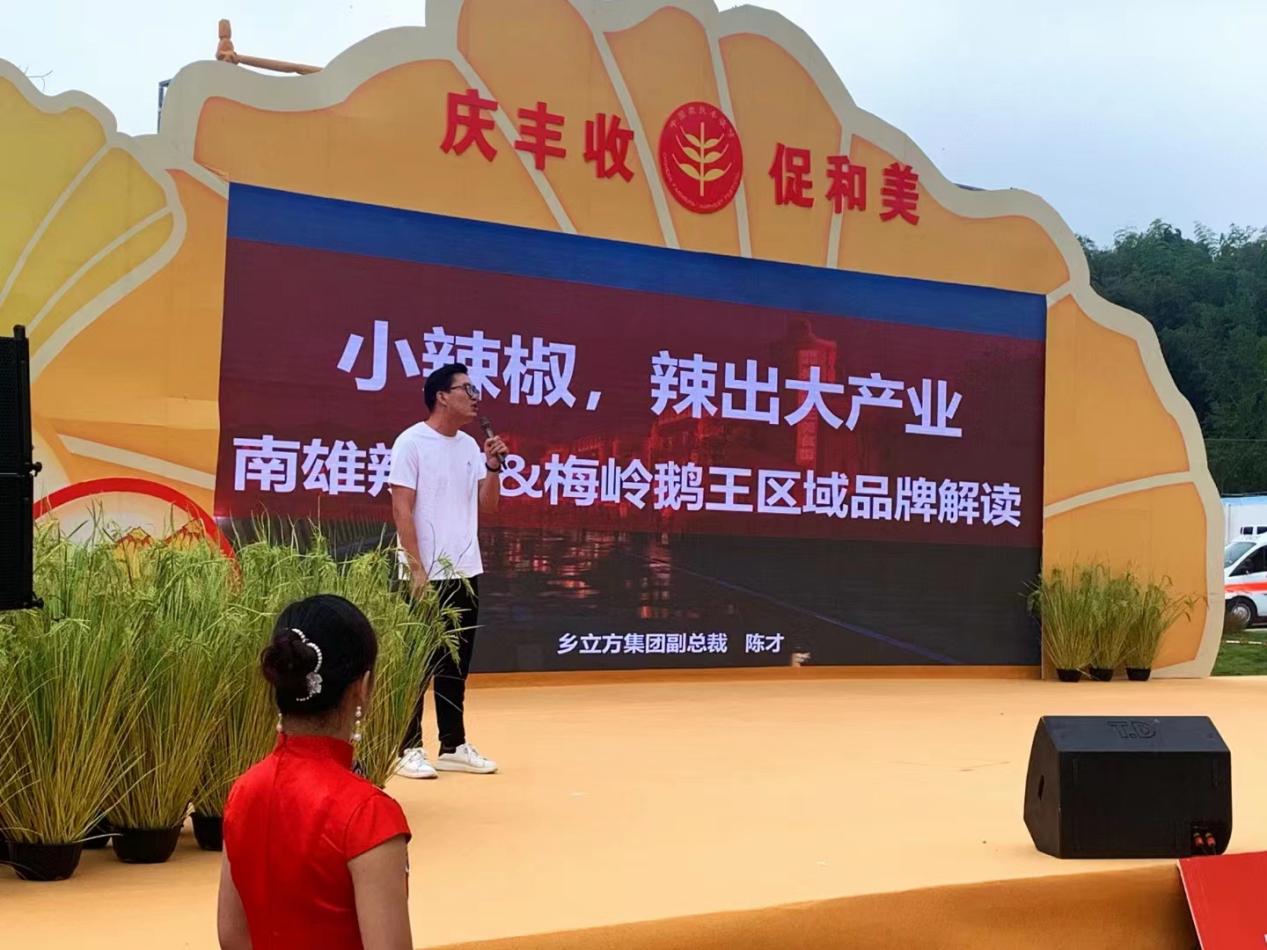 【小辣椒，辣出大产业】创新共富模式，助力乡村振兴