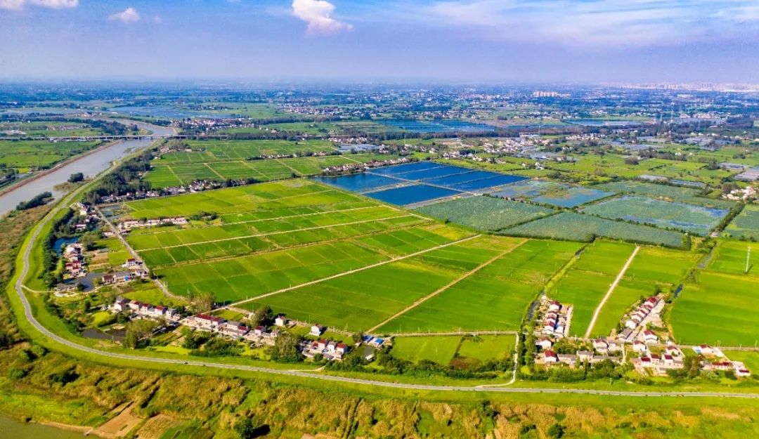 藏粮于地 藏粮于技 | 棕榈股份大力推进高标准农田建设 绘就出彩河南华美乐章 藏粮于地 藏粮于技 | 棕榈股份大力推进高标准农田建设 绘就出彩河南华美乐章