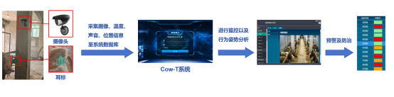 Cow-T 推进农村农业现代化